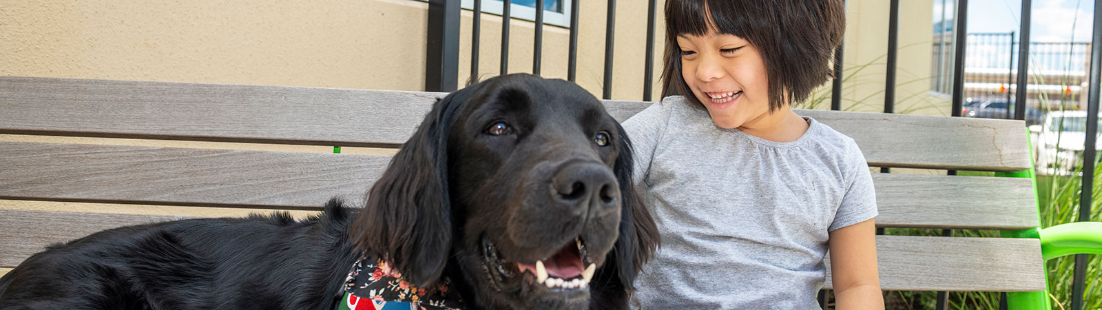 Rosa_OCH(J190723407)-1600x450