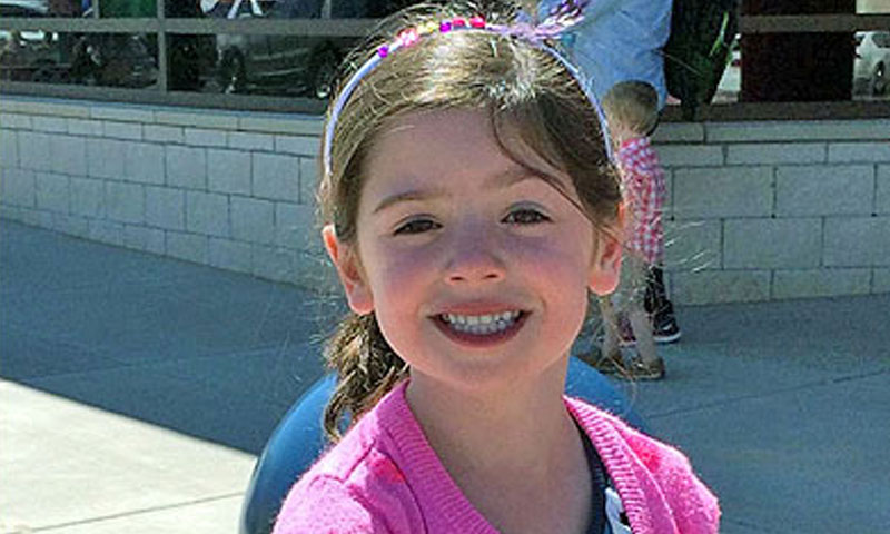 Main Content Intro Image