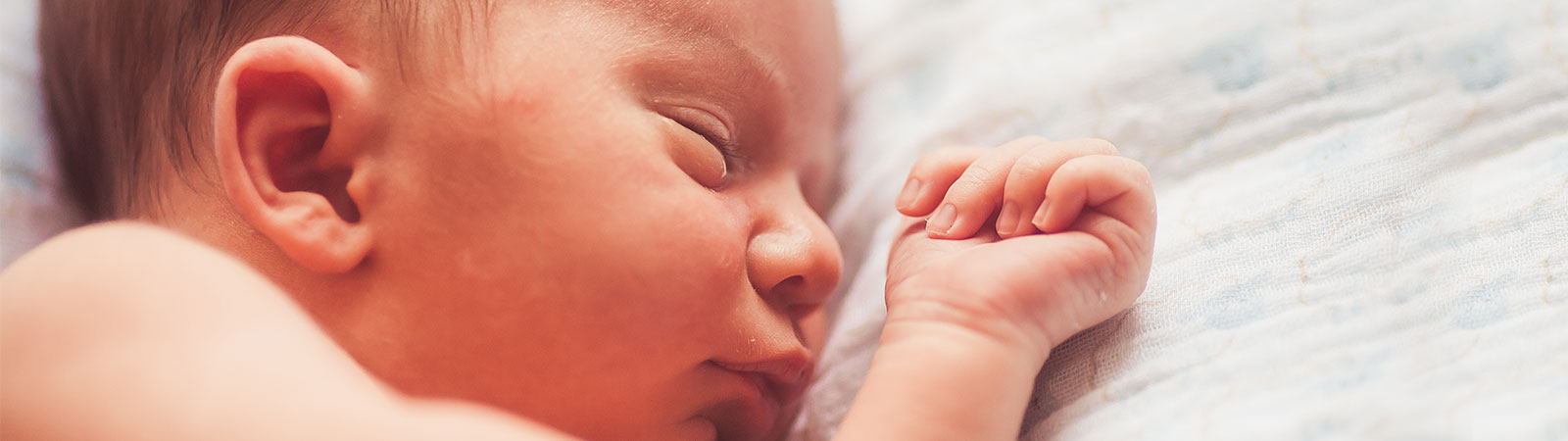 shutterstock_250638496-1600x450-ear-molding