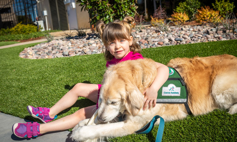 Main Content Intro Image